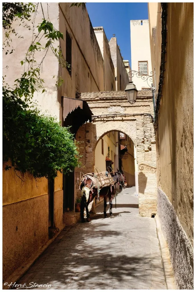 A street in the medina nearby Riad Layalina Fes