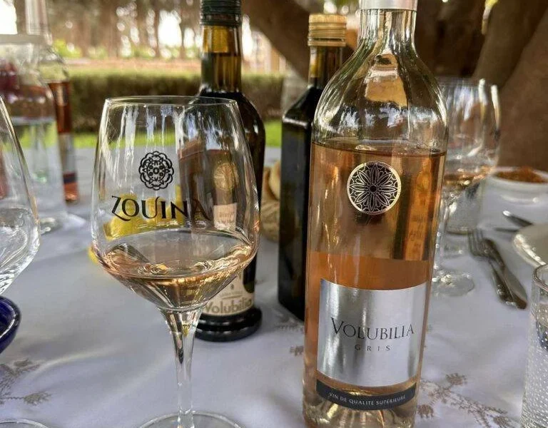 An exceptional grey wine at Villa Volubilia estate, wine tasting tour Meknes
