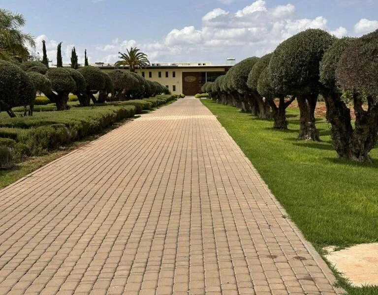Arrival at Chateau Roslane, Meknes