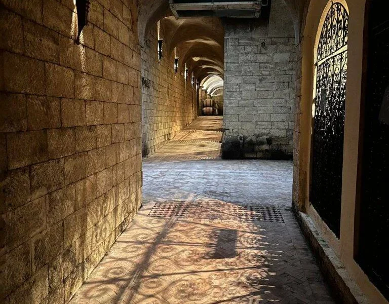Chateau Roslane cellars in Meknes, wine tasting excursion