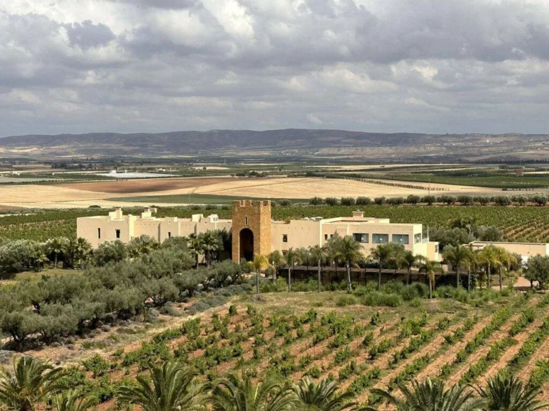 Chateau Roslane Meknes, view