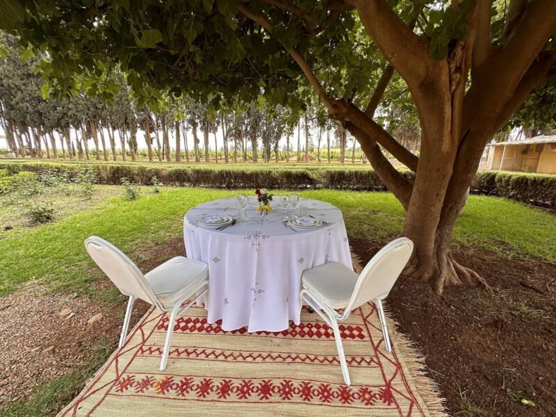 Déjeuner dégustation Domaine Villa Volubilia, Meknes
