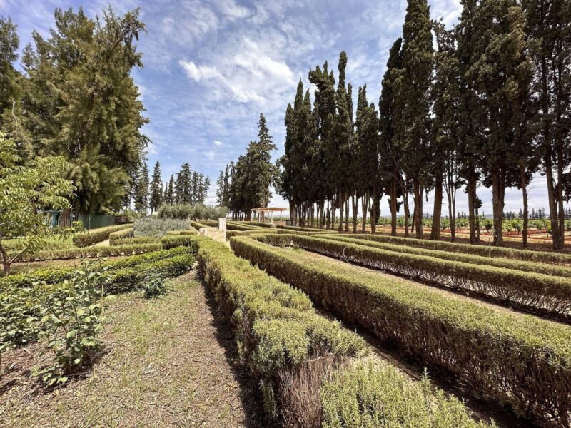Domaine Villa Volubilia, route des vins Meknes