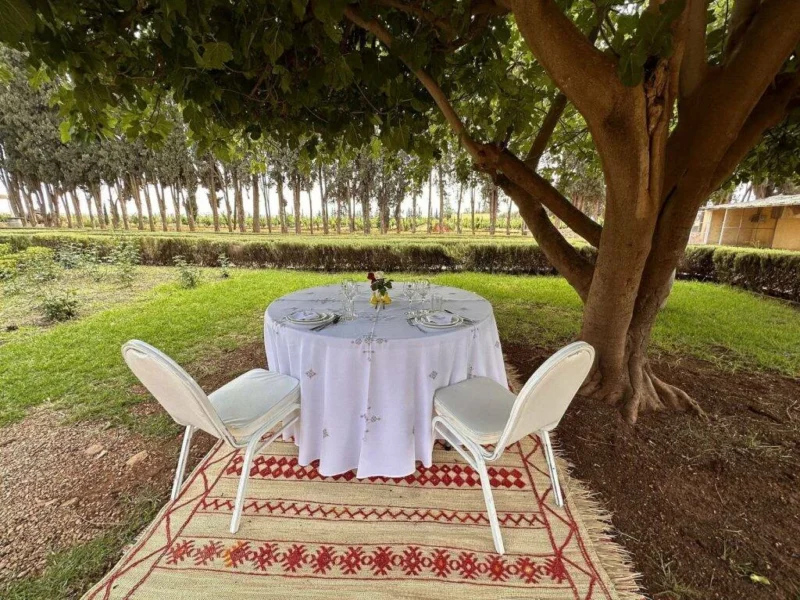 Lunch and wine tasting at Villa Volubilia estate