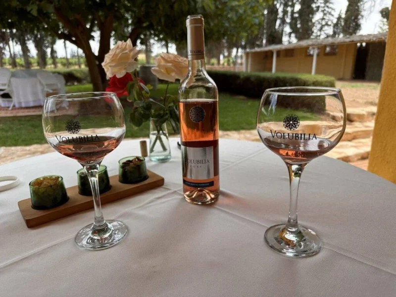 Lunch wine tasting at Villa Volubilia estate