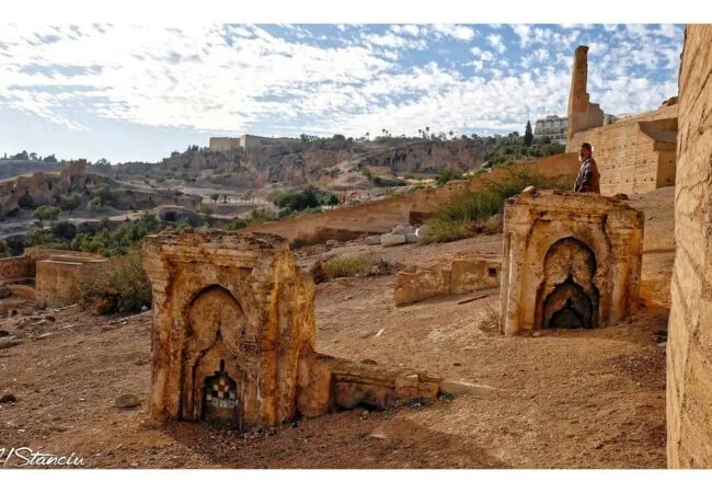 Marinid tombs Fes medina history