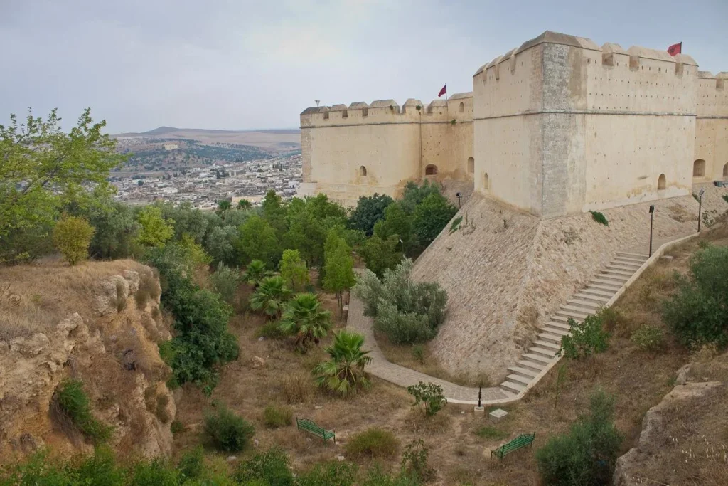 Medina view from south Borj, Fes