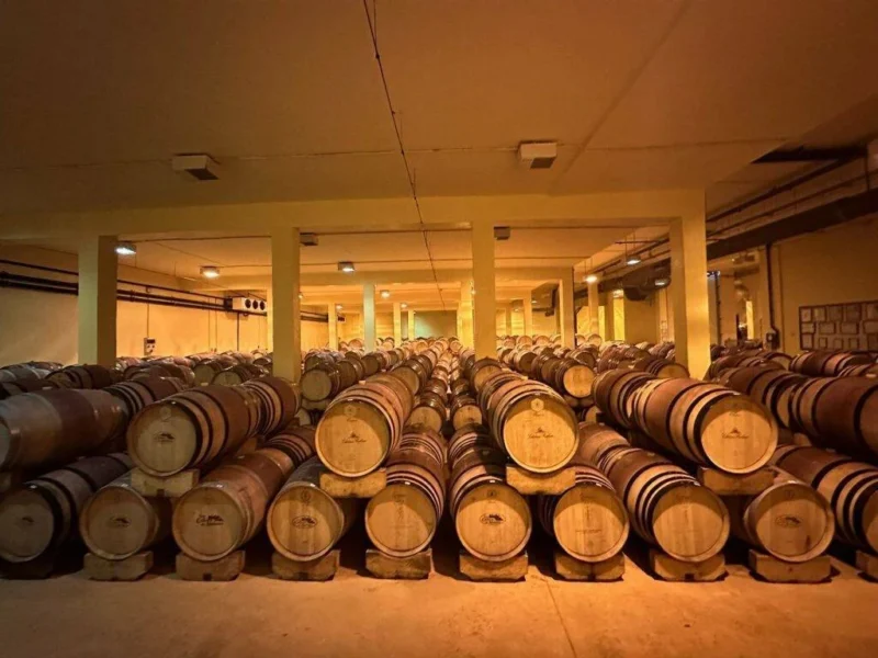 Oak barrels at Chateau Roslane cellar