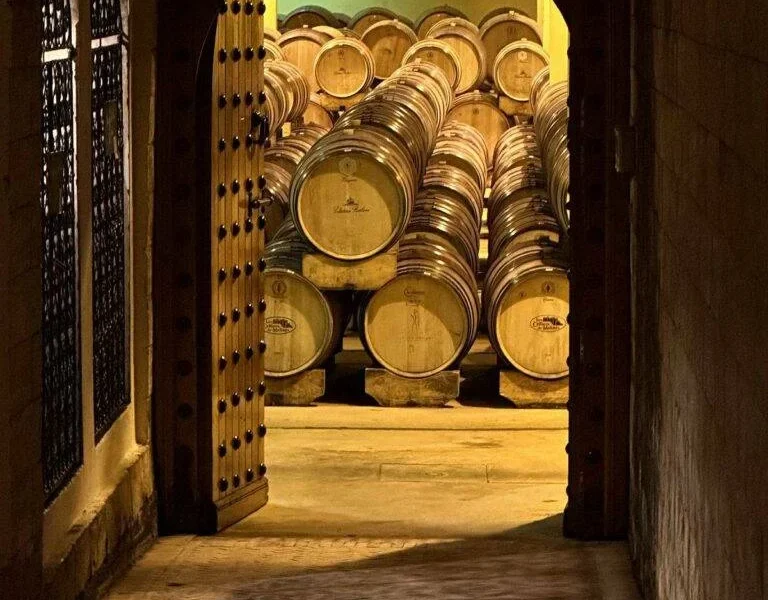 The cellars of Chateau Roslane, Meknes