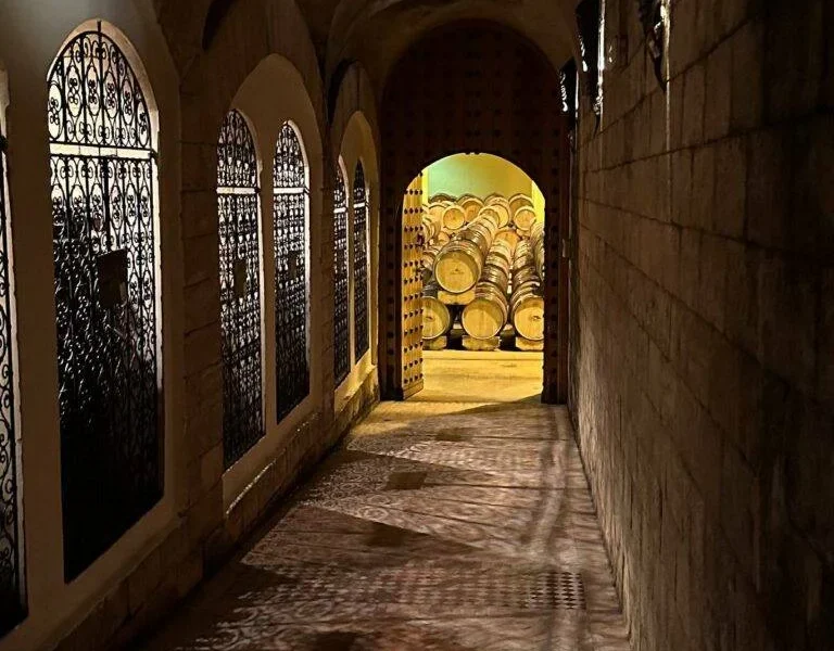 The vaulted cellars of Chateau Roslane, Meknes