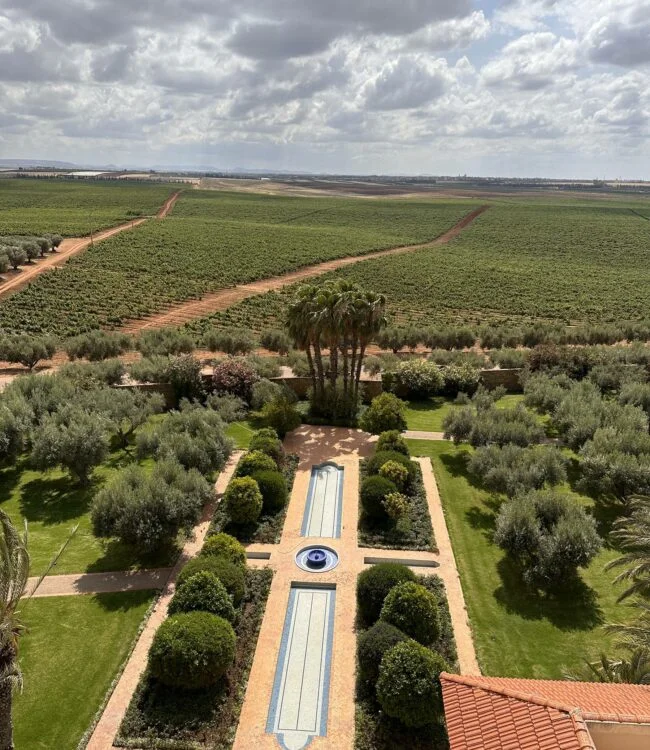 The vineyards of the Meknes wine route The vineyards of the Meknes wine route
