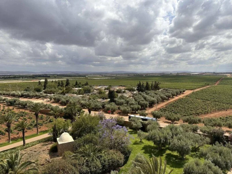 The Wine tasting Tour, Chateau Roslane Meknes