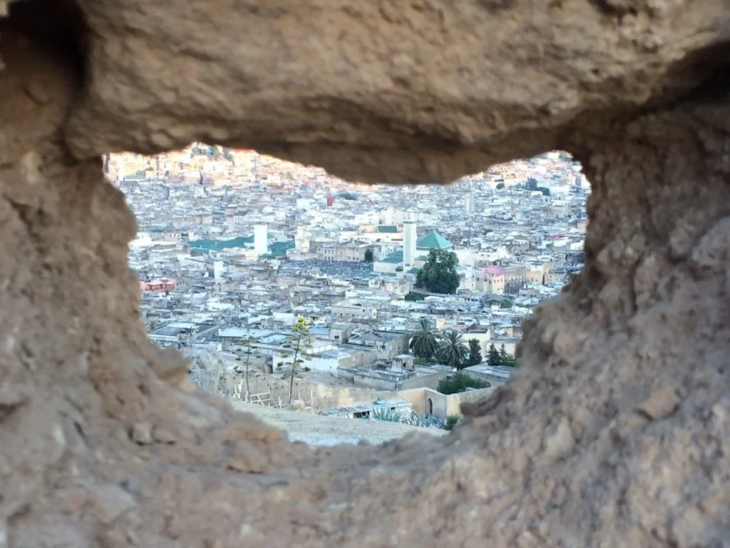 View over Fes medina from the Marinid tombs, Fes