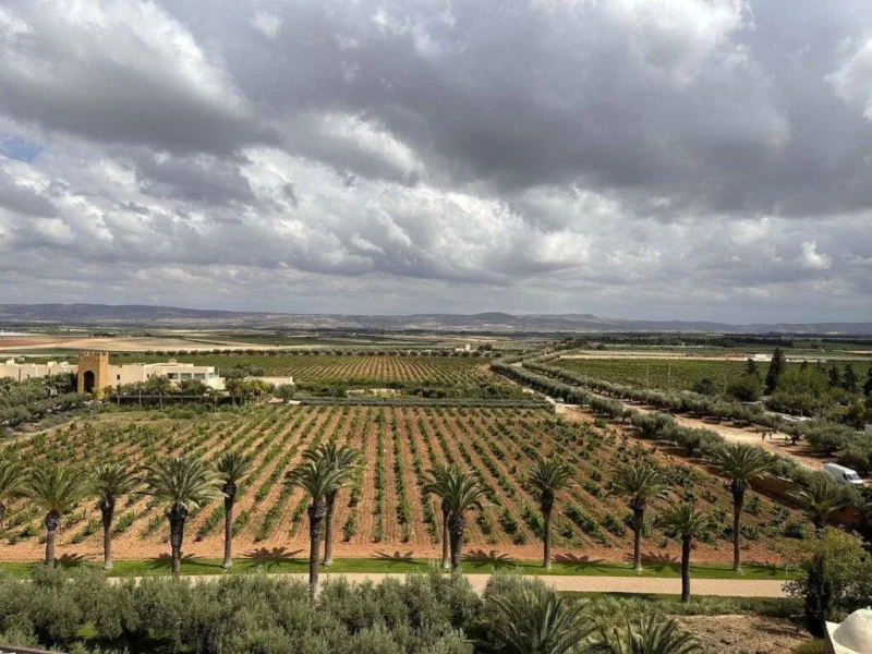 View of Chateau Roslane, Meknes
