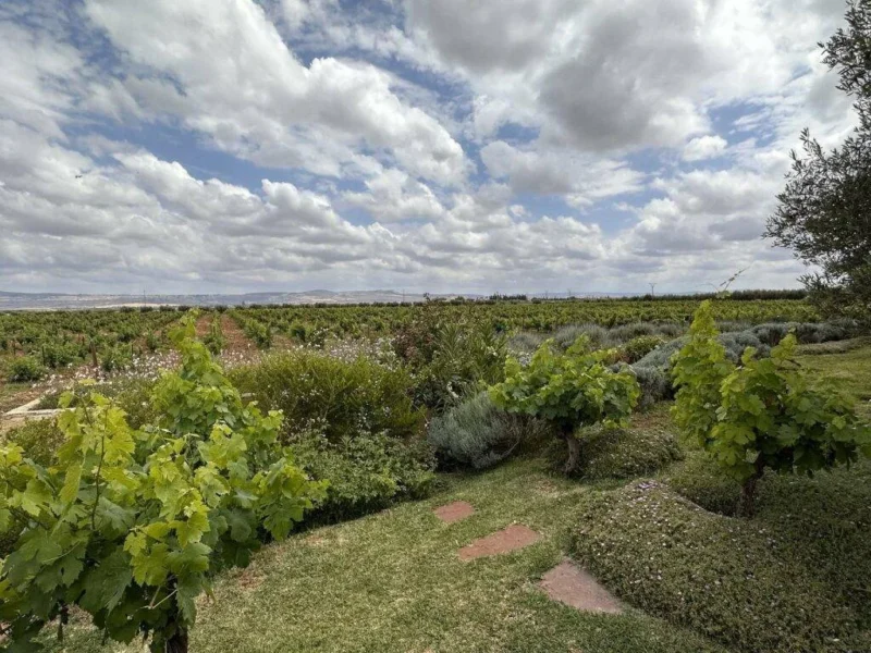 Vue d'ensemble au Chateau Roslane, Meknes