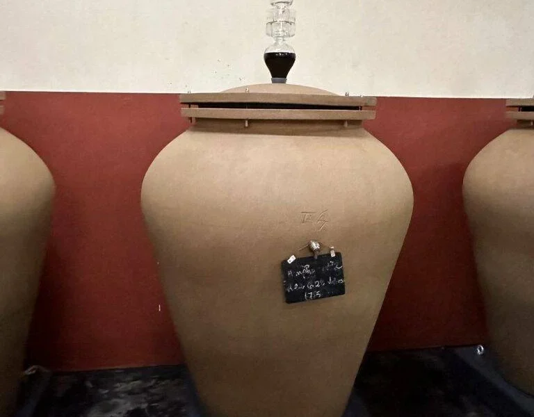 Wine Epicuria aging , Villa Volubilia