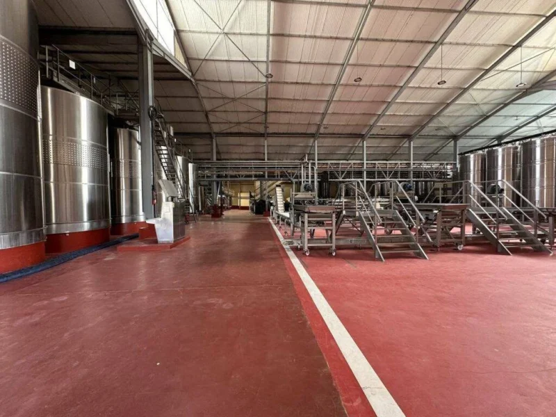 Wine production at Chateau Roslane, Meknes Morocco